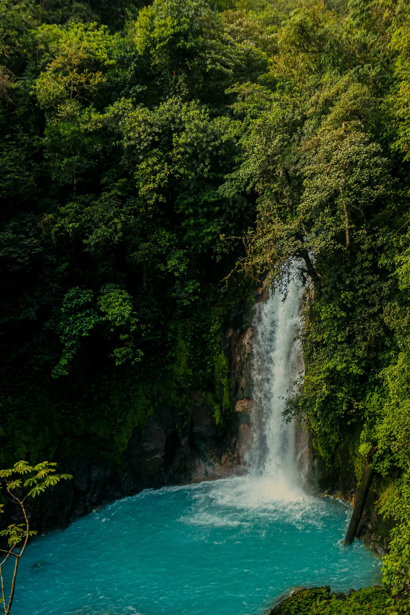 Catarata cayendo en una poza en la selva